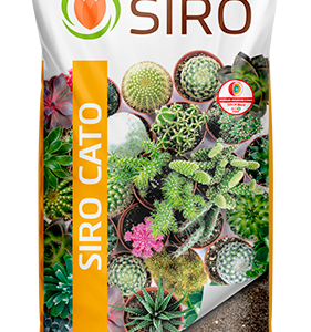 Siro Cato