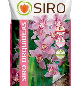 Siro Orquídeas