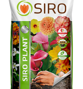 Siro Plant