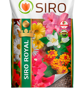 Substrato - Siro Royal 50lts