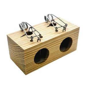 Ratoeira para Ratos com 2 Buracos