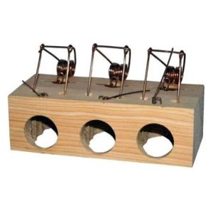 Ratoeira para Ratos com 3 Buracos